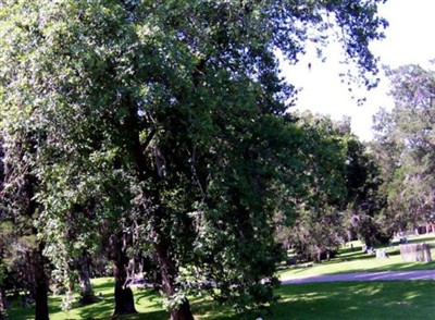 Liberty City Cemetery on Sysoon