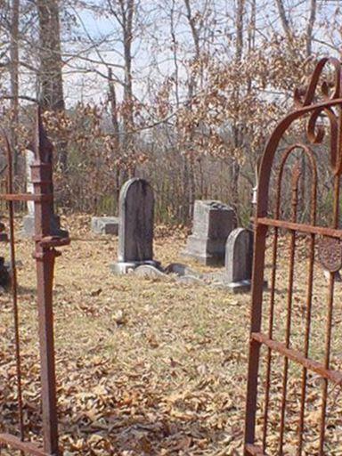 Liberty Springs Presbyterian Church Cemetery on Sysoon