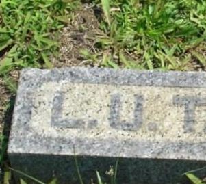 Lidie U. Walling Terry on Sysoon