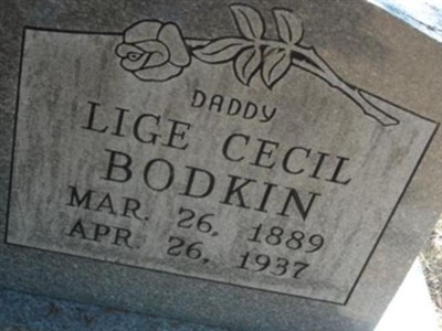 Lige Cecil Bodkin on Sysoon