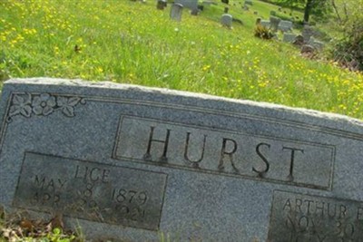 Lige Hurst on Sysoon
