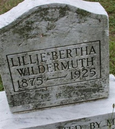 Liilie Bertha Wildermuth on Sysoon