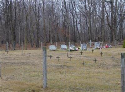 Likens-Cosner Family Cemetery on Sysoon