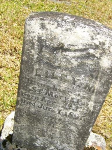Liley M. Potter on Sysoon