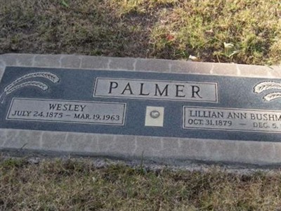 Lillian Ann Bushman Palmer on Sysoon