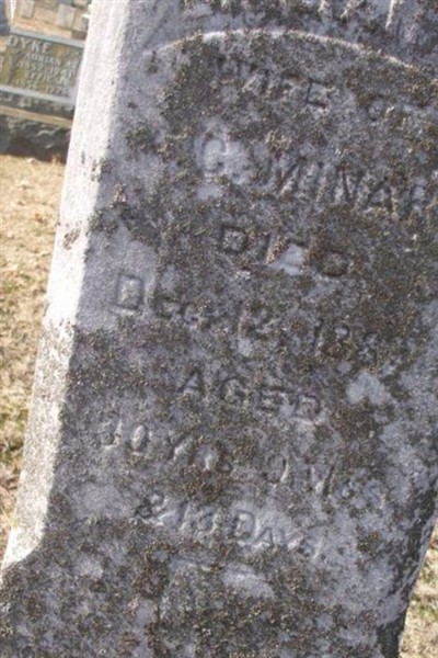 Lillian K. Minar on Sysoon