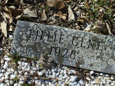 Lillie Gene Diffee on Sysoon