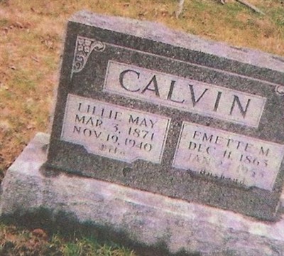 Lillie May Baldwin Calvin on Sysoon