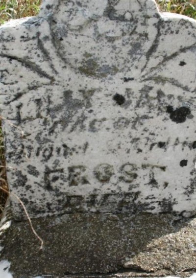 Lilly J. Frost on Sysoon