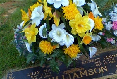 Lilly Mae Roe Williamson on Sysoon