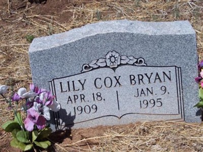Lily Cox Bryan on Sysoon