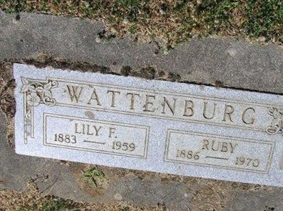 Lily Frances Wattenburg on Sysoon