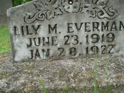 Lily M. Everman on Sysoon
