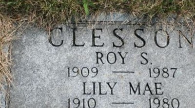 Lily Mae Clesson on Sysoon