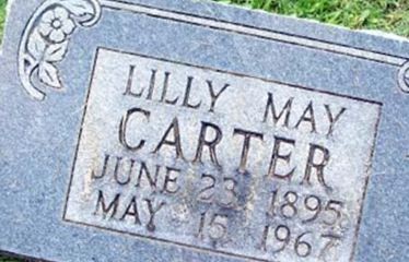 Lily May Carter on Sysoon
