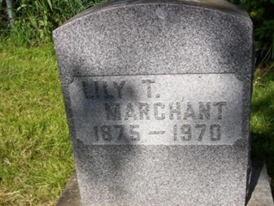 Lily T Marchant on Sysoon