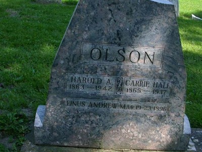Linus Andrew Olson on Sysoon