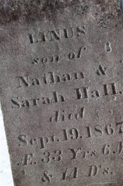Linus Hall on Sysoon