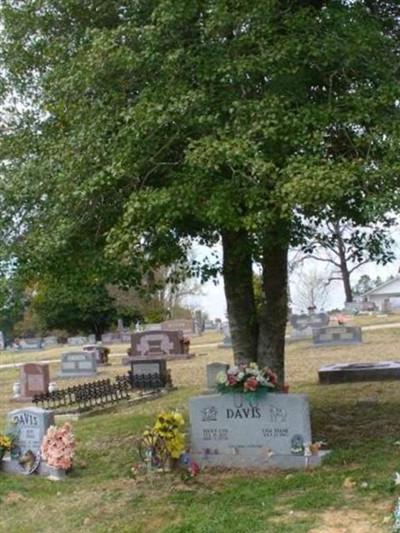 Lisa Diane Davis on Sysoon
