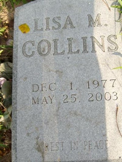 Lisa M. Collins on Sysoon