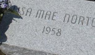 Lisa Mae Norton on Sysoon