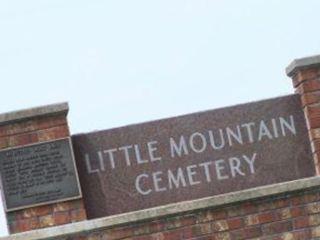 Little Mountain Cemetery on Sysoon