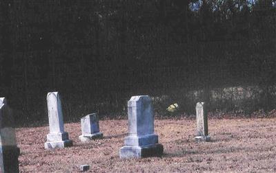 Little Vine Primitive Baptist Church Cemetery on Sysoon