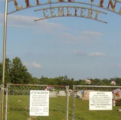 Little Vine Cemetery on Sysoon