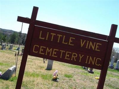 Little Vine Church Cemetery on Sysoon
