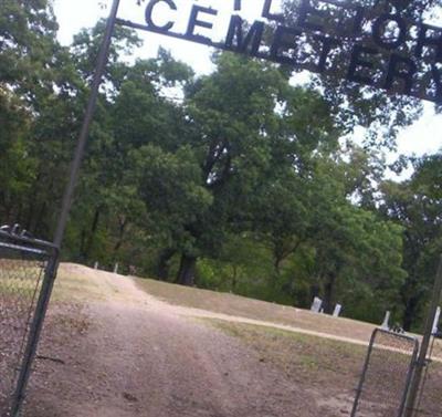 Littlejohn Cemetery on Sysoon