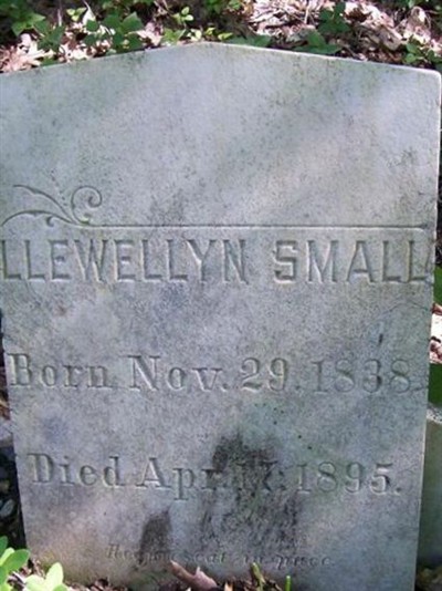 Llewellyn Small on Sysoon