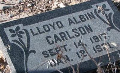 Lloyd Albin Carlson on Sysoon