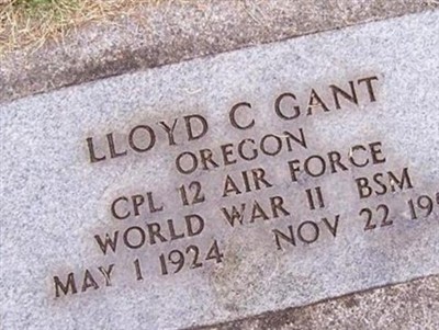 Lloyd C. Gant on Sysoon