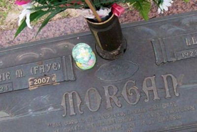 Lloyd D. Morgan on Sysoon