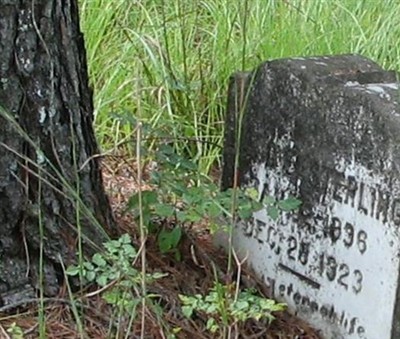 Log Bridge Cemetery on Sysoon