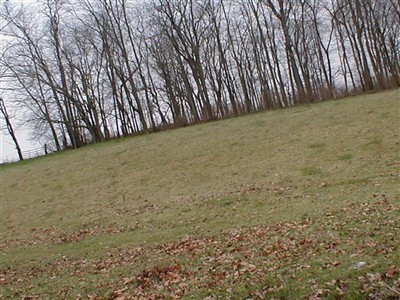 Log Union Cemetery on Sysoon