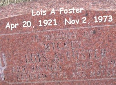 Lois A "Mickey" Foster on Sysoon