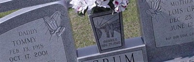 Lois Lola Crain Crum on Sysoon