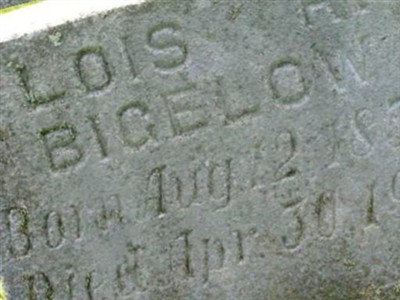 Lois R. Bigelow on Sysoon