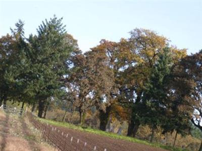 Looney Cemetery on Sysoon