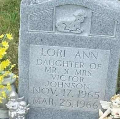 Lori Ann Johnson on Sysoon