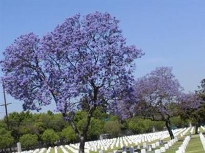 Los Angeles National Cemetery on Sysoon
