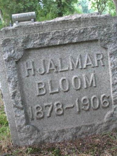 Lotroph Hjalmar Bloom on Sysoon