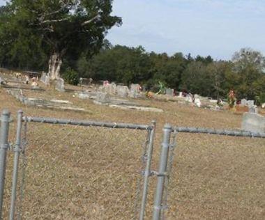 Lott Cemetery on Sysoon