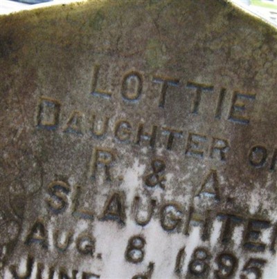 Lottie Slaughter on Sysoon