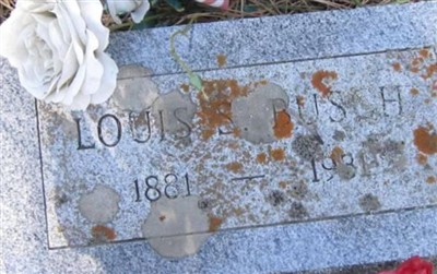 Louis S Busch on Sysoon