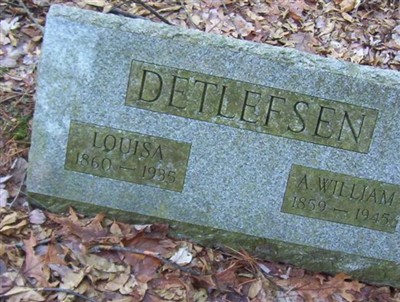 Louisa Alvina Bauer Detlefsen on Sysoon