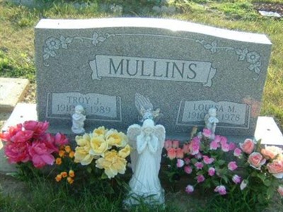 Louisa M. Mullins on Sysoon