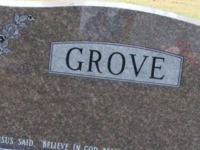 Anna Louise "Violet" Abrahamson Grove on Sysoon