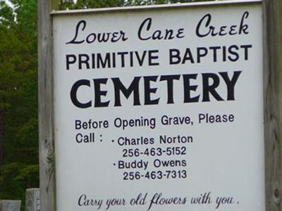 Lower Cane Creek Cemetery on Sysoon